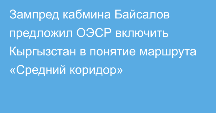 Зампред кабмина Байсалов предложил ОЭСР включить Кыргызстан в понятие маршрута «Средний коридор»
