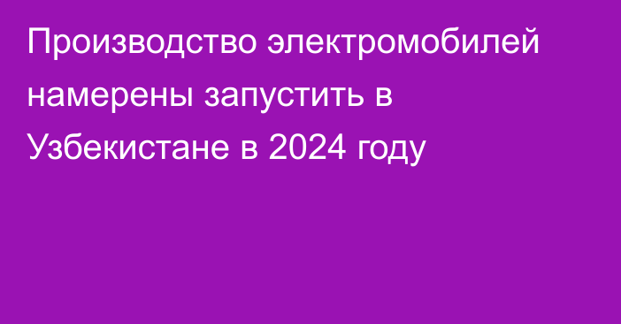 Производство электромобилей намерены запустить в Узбекистане в 2024 году