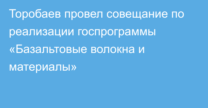 Торобаев провел совещание по реализации госпрограммы «Базальтовые волокна и материалы»
