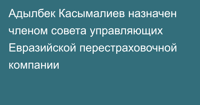 Адылбек  Касымалиев назначен членом совета управляющих Евразийской перестраховочной компании