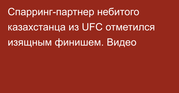 Спарринг-партнер небитого казахстанца из UFC отметился изящным финишем. Видео