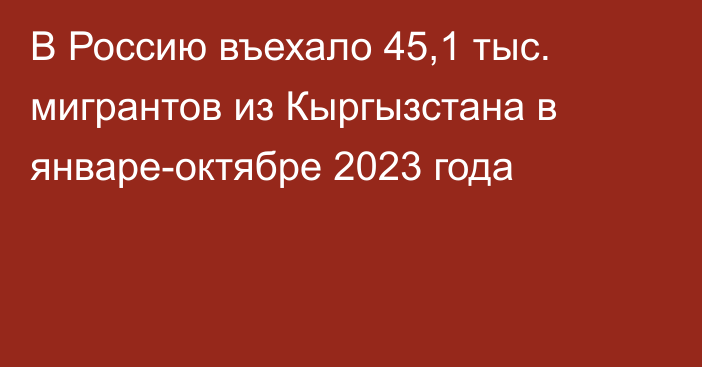 В Россию въехало 45,1 тыс. мигрантов из Кыргызстана в январе-октябре 2023 года