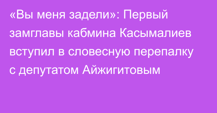 «Вы меня задели»: Первый замглавы кабмина Касымалиев вступил в словесную перепалку с депутатом Айжигитовым