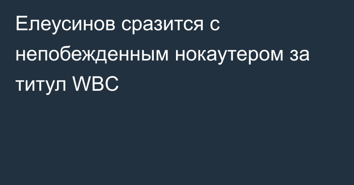 Елеусинов сразится с непобежденным нокаутером за титул WBC