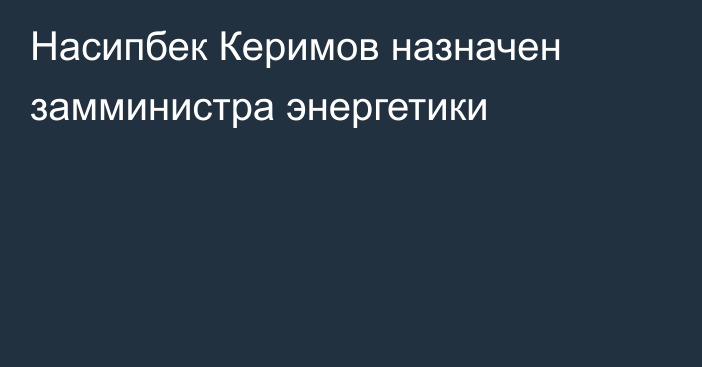 Насипбек Керимов назначен замминистра энергетики