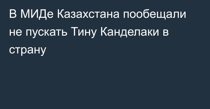 В МИДе Казахстана пообещали не пускать Тину Канделаки в страну