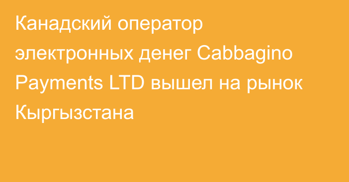 Канадский оператор электронных денег Cabbagino Payments LTD вышел на рынок Кыргызстана