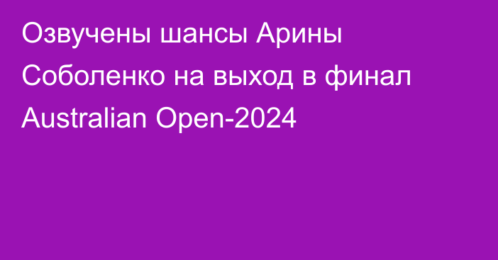 Озвучены шансы Арины Соболенко на выход в финал Australian Open-2024