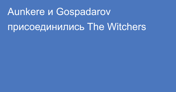 Aunkere и Gospadarov присоединились The Witchers