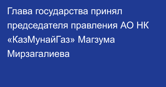 Глава государства принял председателя правления АО НК «КазМунайГаз» Магзума Мирзагалиева