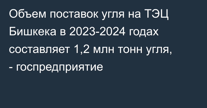 Объем поставок угля на ТЭЦ Бишкека в 2023-2024 годах составляет 1,2 млн тонн угля, - госпредприятие