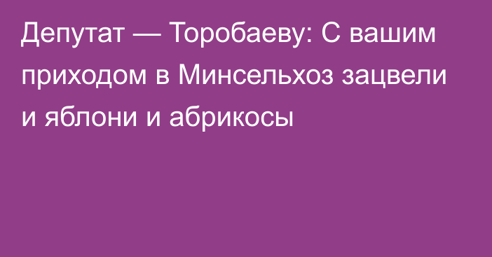 Депутат — Торобаеву: С вашим приходом в Минсельхоз зацвели и яблони и абрикосы