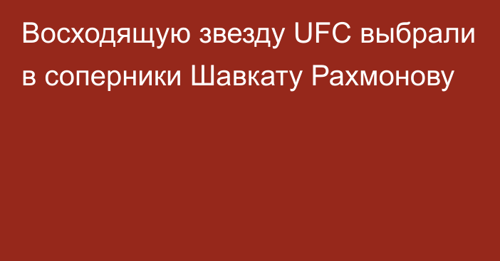 Восходящую звезду UFC выбрали в соперники Шавкату Рахмонову