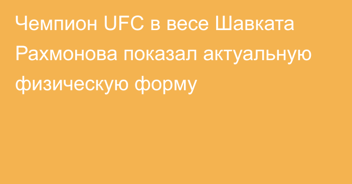 Чемпион UFC в весе Шавката Рахмонова показал актуальную физическую форму