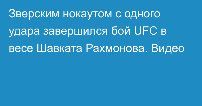 Зверским нокаутом с одного удара завершился бой UFC в весе Шавката Рахмонова. Видео