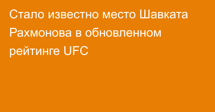 Стало известно место Шавката Рахмонова в обновленном рейтинге UFC
