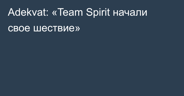 Adekvat: «Team Spirit начали свое шествие»
