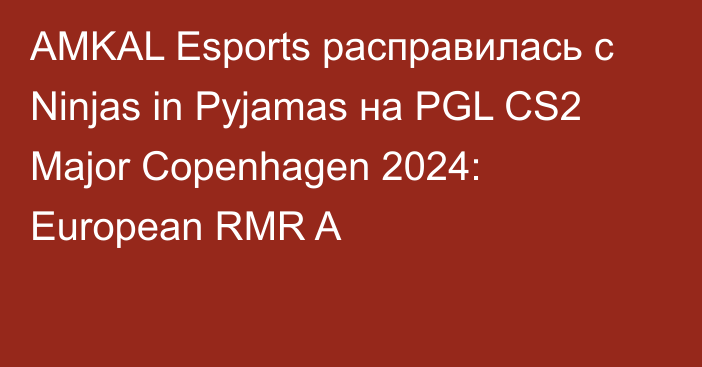 AMKAL Esports расправилась с Ninjas in Pyjamas на PGL CS2 Major Copenhagen 2024: European RMR A