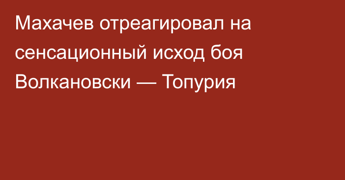 Махачев отреагировал на сенсационный исход боя Волкановски — Топурия