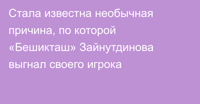 Стала известна необычная причина, по которой «Бешикташ» Зайнутдинова выгнал своего игрока