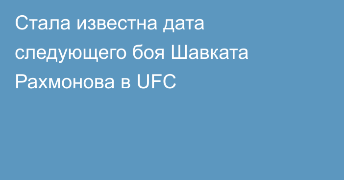 Стала известна дата следующего боя Шавката Рахмонова в UFC