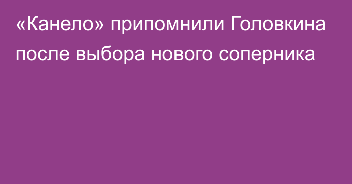 «Канело» припомнили Головкина после выбора нового соперника