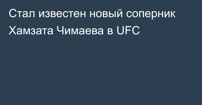 Стал известен новый соперник Хамзата Чимаева в UFC