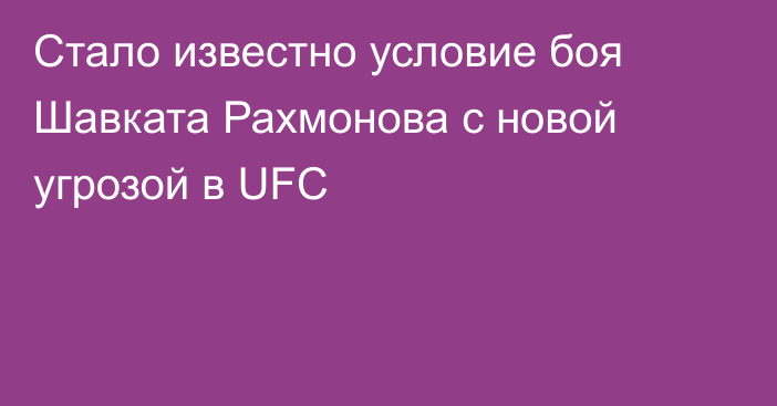Стало известно условие боя Шавката Рахмонова с новой угрозой в UFC