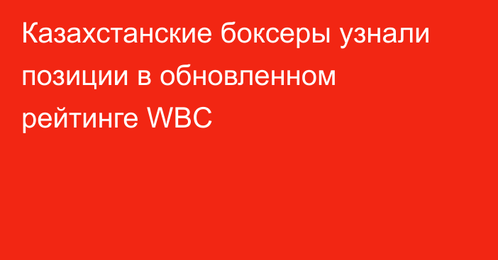 Казахстанские боксеры узнали позиции в обновленном рейтинге WBC