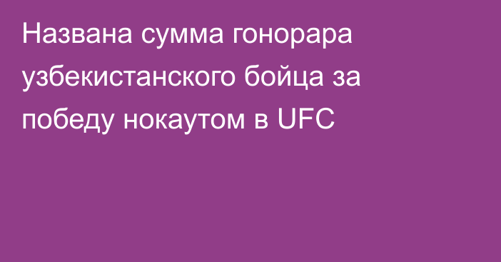 Названа сумма гонорара узбекистанского бойца за победу нокаутом в UFC