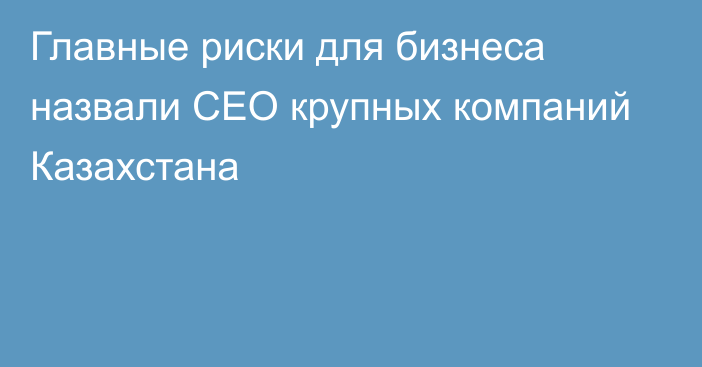 Главные риски для бизнеса назвали CEO крупных компаний Казахстана