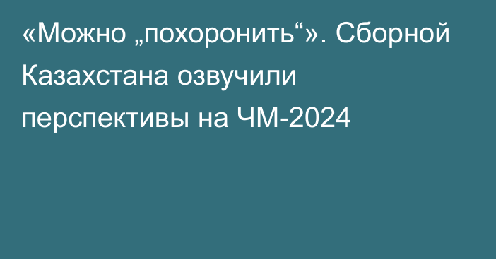 «Можно „похоронить“». Сборной Казахстана озвучили перспективы на ЧМ-2024