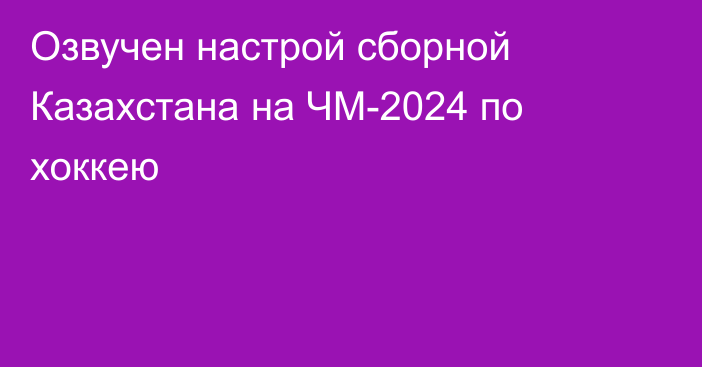 Озвучен настрой сборной Казахстана на ЧМ-2024 по хоккею