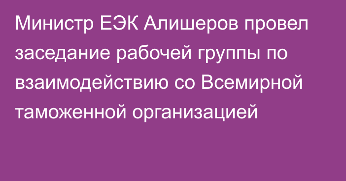 Министр ЕЭК Алишеров провел заседание рабочей группы по взаимодействию со Всемирной таможенной организацией
