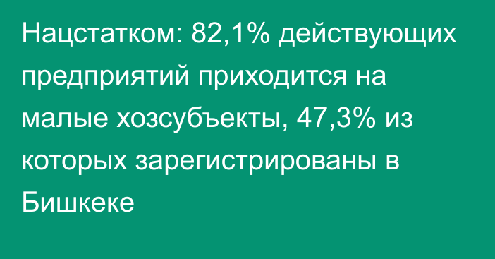 Нацстатком: 82,1% действующих предприятий приходится на малые хозсубъекты, 47,3% из которых зарегистрированы в Бишкеке