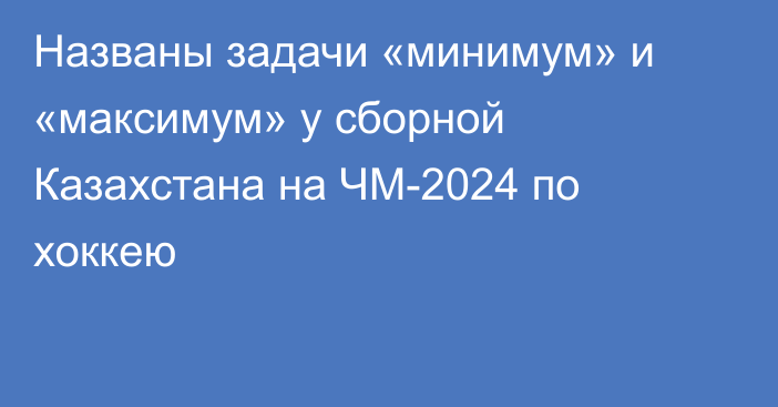 Названы задачи «минимум» и «максимум» у сборной Казахстана на ЧМ-2024 по хоккею