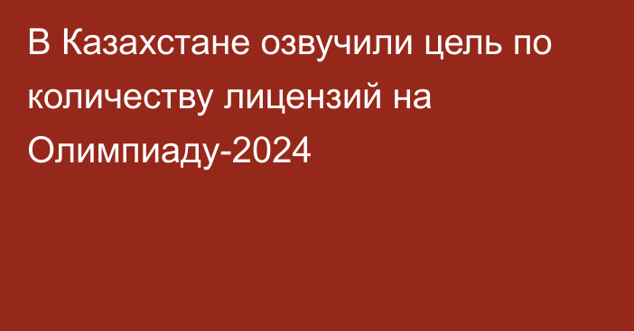 В Казахстане озвучили цель по количеству лицензий на Олимпиаду-2024