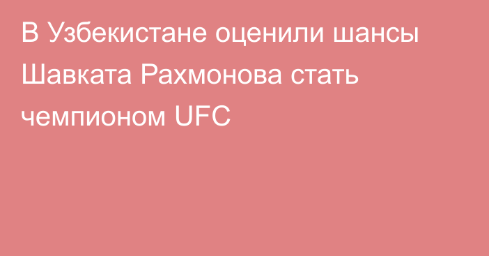 В Узбекистане оценили шансы Шавката Рахмонова стать чемпионом UFC
