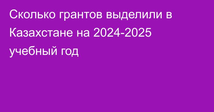 Сколько грантов выделили в Казахстане на 2024-2025 учебный год