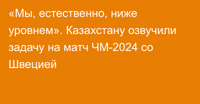«Мы, естественно, ниже уровнем». Казахстану озвучили задачу на матч ЧМ-2024 со Швецией