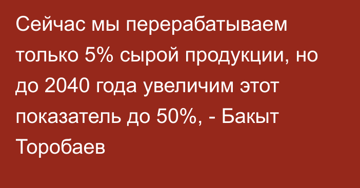 Сейчас мы перерабатываем только 5% сырой продукции, но до 2040 года увеличим этот показатель до 50%, - Бакыт Торобаев