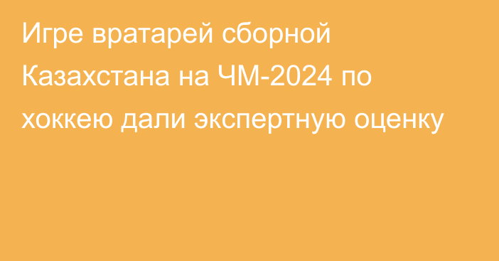 Игре вратарей сборной Казахстана на ЧМ-2024 по хоккею дали экспертную оценку