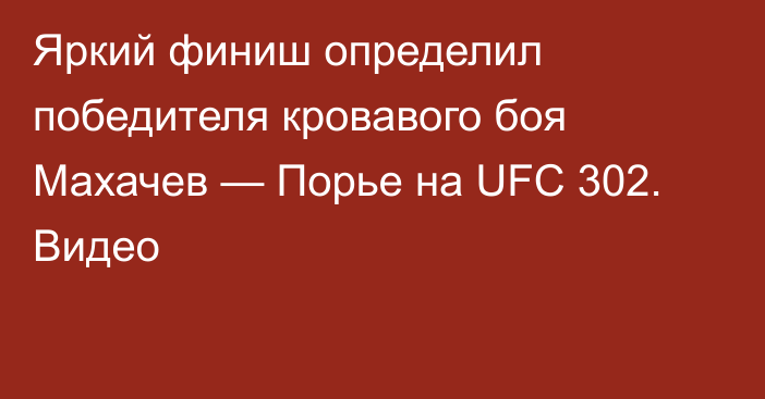 Яркий финиш определил победителя кровавого боя Махачев — Порье на UFC 302. Видео