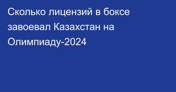 Сколько лицензий в боксе завоевал Казахстан на Олимпиаду-2024