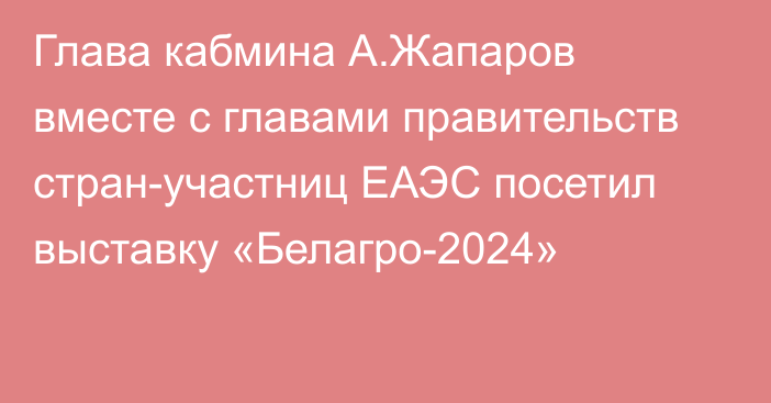 Глава кабмина А.Жапаров вместе с главами правительств стран-участниц ЕАЭС посетил выставку «Белагро-2024»