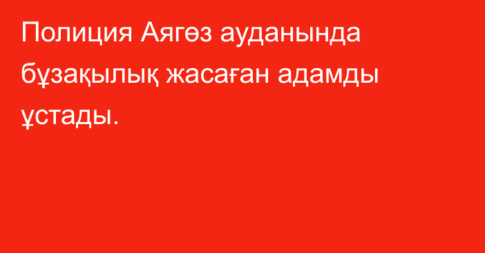 Полиция Аягөз ауданында бұзақылық жасаған адамды ұстады.