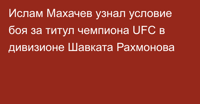 Ислам Махачев узнал условие боя за титул чемпиона UFC в дивизионе Шавката Рахмонова
