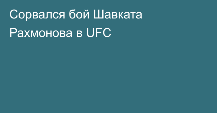 Сорвался бой Шавката Рахмонова в UFC
