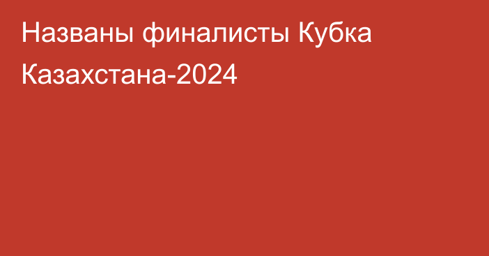 Названы финалисты Кубка Казахстана-2024