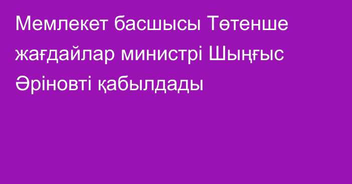 Мемлекет басшысы Төтенше жағдайлар министрі Шыңғыс Әріновті қабылдады